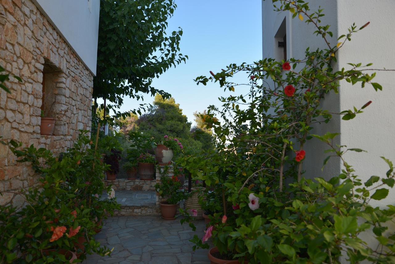 Pension Andromeda Patitírion Exterior foto