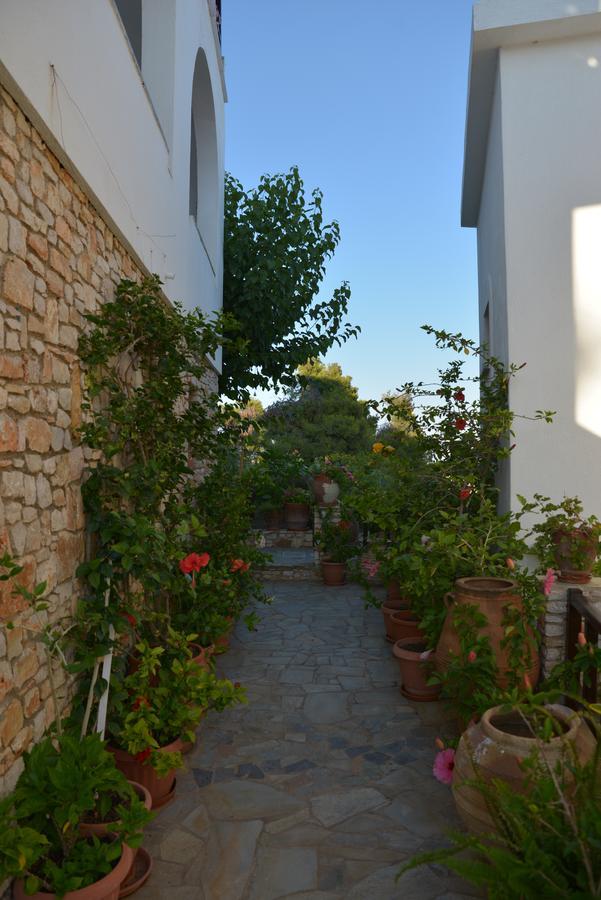 Pension Andromeda Patitírion Exterior foto