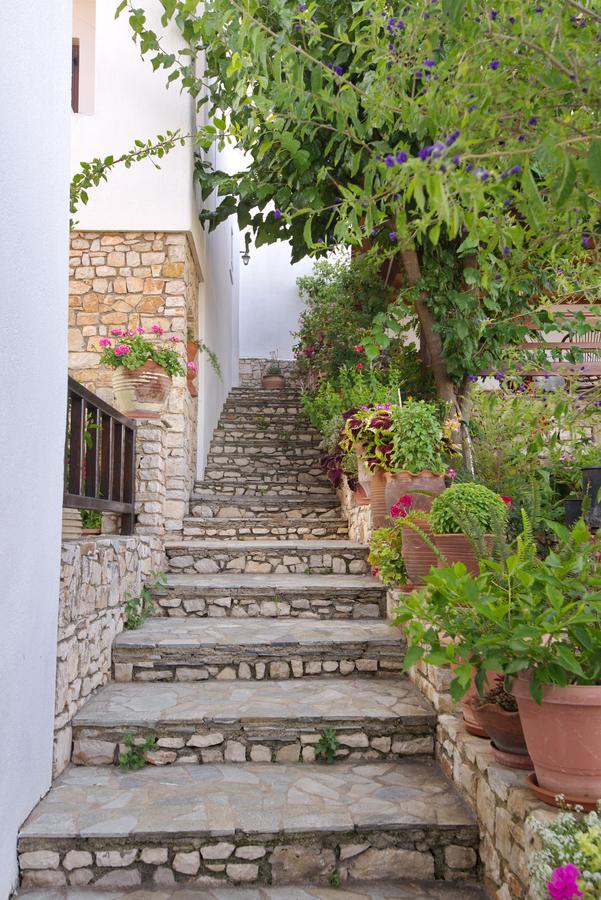 Pension Andromeda Patitírion Exterior foto